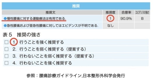 腰痛診療ガイドラインの補足資料